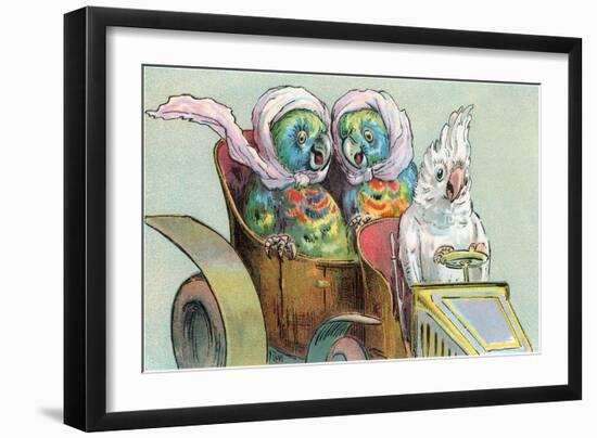 Cockatoo Driving Parrots-null-Framed Art Print