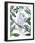 Cockatoo Perch I-Annie Warren-Framed Art Print