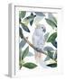 Cockatoo Perch I-Annie Warren-Framed Art Print