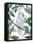 Cockatoo Perch I-Annie Warren-Framed Stretched Canvas