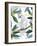 Cockatoo Perch II-Annie Warren-Framed Art Print