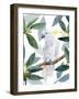 Cockatoo Perch II-Annie Warren-Framed Art Print