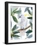 Cockatoo Perch II-Annie Warren-Framed Art Print