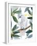 Cockatoo Perch II-Annie Warren-Framed Art Print