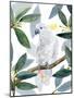 Cockatoo Perch II-Annie Warren-Mounted Art Print