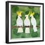 Cockatoo Trio-Lisa Frances Judd-Framed Art Print