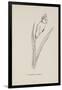 Cockatooca Superba. Illustration From Nonsense Botany by Edward Lear, Published in 1889.-Edward Lear-Framed Giclee Print