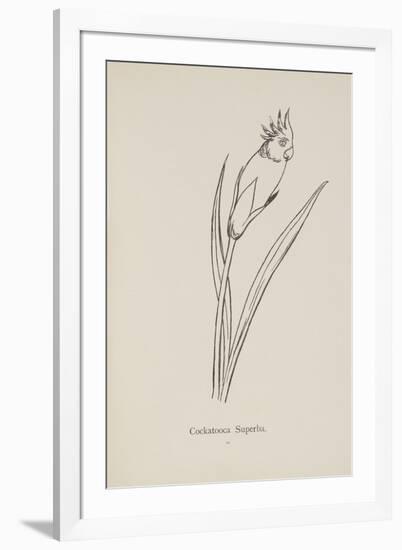 Cockatooca Superba. Illustration From Nonsense Botany by Edward Lear, Published in 1889.-Edward Lear-Framed Giclee Print