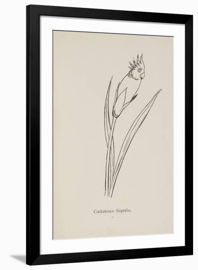 Cockatooca Superba. Illustration From Nonsense Botany by Edward Lear, Published in 1889.-Edward Lear-Framed Giclee Print