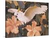 Cockatoos and Pink Hibiscus-Jesse Arms Botke-Stretched Canvas