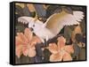 Cockatoos and Pink Hibiscus-Jesse Arms Botke-Framed Stretched Canvas