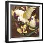 Cockatoos on Copa De Oro-Jesse Arms Botke-Framed Art Print