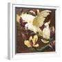 Cockatoos on Copa De Oro-Jesse Arms Botke-Framed Art Print