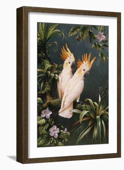 Cockatoos-Michael Jackson-Framed Giclee Print