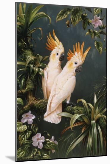 Cockatoos-Michael Jackson-Mounted Giclee Print