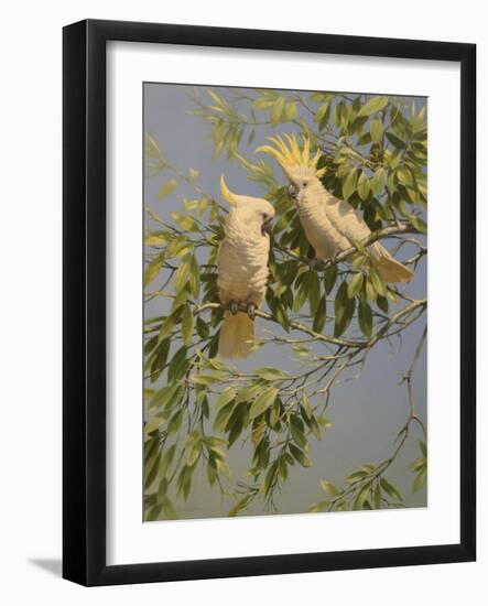 Cockatoos-Michael Jackson-Framed Giclee Print