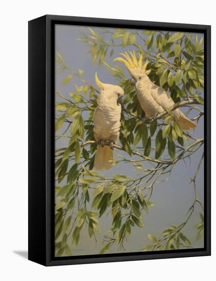 Cockatoos-Michael Jackson-Framed Stretched Canvas