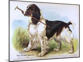 Cocker Spaniel (Anon)-null-Mounted Art Print