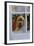 Cocker Spaniel at Window-null-Framed Photographic Print