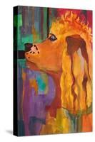 Cocker Spaniel Callled Zippy-Blenda Tyvoll-Stretched Canvas