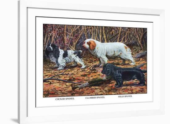 Cocker Spaniel, Clumber Spaniel, and Field Spaniel-Louis Agassiz Fuertes-Framed Premium Giclee Print