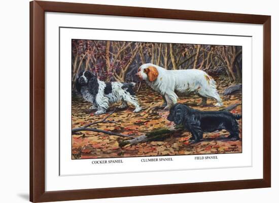 Cocker Spaniel, Clumber Spaniel, and Field Spaniel-Louis Agassiz Fuertes-Framed Premium Giclee Print