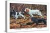 Cocker Spaniel, Clumber Spaniel, and Field Spaniel-Louis Agassiz Fuertes-Stretched Canvas