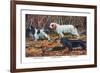 Cocker Spaniel, Clumber Spaniel, and Field Spaniel-Louis Agassiz Fuertes-Framed Art Print