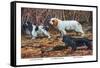 Cocker Spaniel, Clumber Spaniel, and Field Spaniel-Louis Agassiz Fuertes-Framed Stretched Canvas