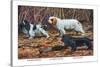 Cocker Spaniel, Clumber Spaniel, and Field Spaniel-Louis Agassiz Fuertes-Stretched Canvas