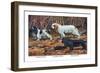 Cocker Spaniel, Clumber Spaniel, and Field Spaniel-Louis Agassiz Fuertes-Framed Art Print
