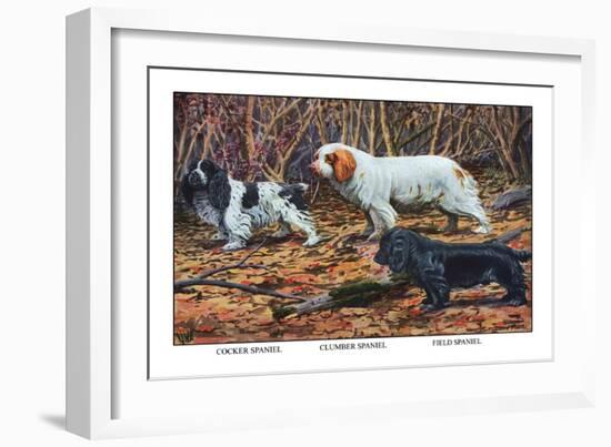 Cocker Spaniel, Clumber Spaniel, and Field Spaniel-Louis Agassiz Fuertes-Framed Art Print