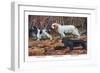 Cocker Spaniel, Clumber Spaniel, and Field Spaniel-Louis Agassiz Fuertes-Framed Art Print