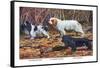 Cocker Spaniel, Clumber Spaniel, and Field Spaniel-Louis Agassiz Fuertes-Framed Stretched Canvas