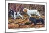 Cocker Spaniel, Clumber Spaniel, and Field Spaniel-Louis Agassiz Fuertes-Mounted Art Print