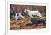 Cocker Spaniel, Clumber Spaniel, and Field Spaniel-Louis Agassiz Fuertes-Framed Art Print