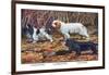 Cocker Spaniel, Clumber Spaniel, and Field Spaniel-Louis Agassiz Fuertes-Framed Art Print