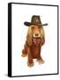 Cocker Spaniel Cowboy-Fab Funky-Framed Stretched Canvas