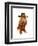 Cocker Spaniel Cowboy-Fab Funky-Framed Art Print