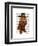 Cocker Spaniel Cowboy-Fab Funky-Framed Art Print