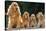 Cocker Spaniel Dogs, Adult and Puppies Sitting in a Row-null-Stretched Canvas