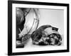 Cocker Spaniel Keeping Cool with Electric Fan-Bettmann-Framed Photographic Print