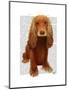 Cocker Spaniel Plain-Fab Funky-Mounted Art Print