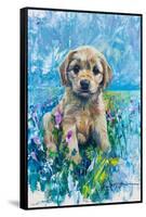 Cocker Spaniel Puppy Love-Lucy P. McTier-Framed Stretched Canvas