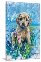 Cocker Spaniel Puppy Love-Lucy P. McTier-Stretched Canvas