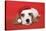 Cocker Spaniel Puppy Wearing Christmas Hat-null-Stretched Canvas