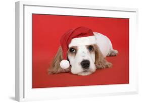 Cocker Spaniel Puppy Wearing Christmas Hat-null-Framed Photographic Print