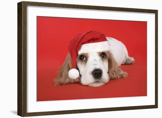 Cocker Spaniel Puppy Wearing Christmas Hat-null-Framed Photographic Print