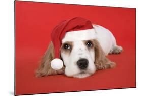 Cocker Spaniel Puppy Wearing Christmas Hat-null-Mounted Photographic Print