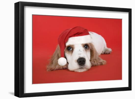 Cocker Spaniel Puppy Wearing Christmas Hat-null-Framed Photographic Print